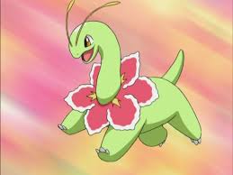 Image result for meganium