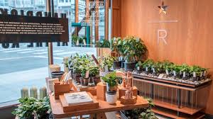 Choose from a wide variety of flavors. Coffee Starts Here Starbucks Reserve