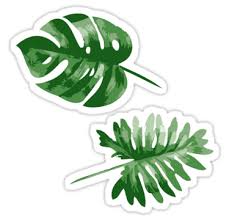 Monstera Sticker Pegatinas Pegatinas Bonitas Pegatinas Wallpaper