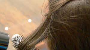 Wrap your hair around the brush and blow dry from the other side. 3 Ways To Blow Dry Layered Hair Wikihow