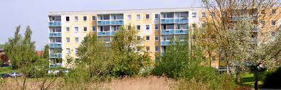 Wir bringen mieter & vermieter in unserem großen immobilienmarkt zusammen. Wohnungsbaugenossenschaft Sassnitz Eg Auf Der Insel Rugen