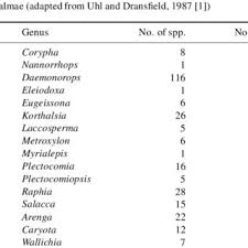 Image result for Eremospatha haullevilleana