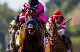 Betting on horse racing, now more convenient than ever due to the advent of twinspires.com, is often viewed as complicated and too complex for a relative newcomer to understand. Free Past Performances For Saturday S Kentucky Derby Preps