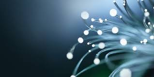 Governed by the sales tax act 2018 and the service tax act 2018, the sales tax was a federal consumption tax imposed on a wide variety of goods while the service tax was levied on customers who consumed certain taxable services. Taxnewsflash Digital Economy Kpmg Global