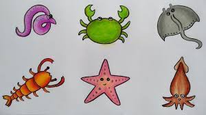 Berikut ini adalah cara menggambar kepiting,cara menggambar hewan laut adapun bahan dan alatnya : Menggambar Macam Macam Hewan Laut Cara Menggambar Dan Mewarnai Hewan Laut Youtube