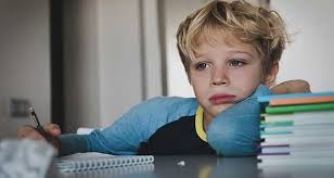 The Education of PANS/PANDAS Students