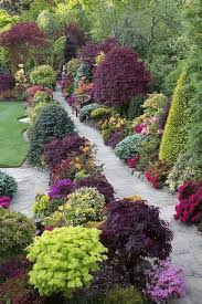 Backyard Landscaping Ideas Browse Landscapes And Yards Discover Brand New Landscape Designs And Suggestions To En Garden Walkway Backyard Landscaping Plants