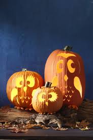 Find halloween pumpkin templates in face patterns like clowns and traditional jack o'lanterns. 35 Free Printable Pumpkin Stencils Best Pumpkin Carving Patterns