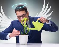 Imagem De Investidoranjo