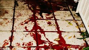 Crime scene photos (graphic!!!) photos only. Famous Crime Scene Graphic Drone Fest