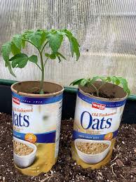 We intend to be a one stop shop for all your gardening needs. Reuse And Recycle Materials To Benefit Home Gardens Cape Gazette