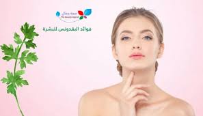 فوائد البقدونس للبشرة أفضل ماسكات البقدونس للبشرة والوجه Sehajmal