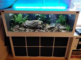 I Made A Bioactive Terrarium From An Ikea Shelf Bioactive Vivarium Reptile Terrarium Snake Terrarium