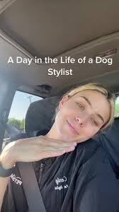 Petsmart Dog Day Camp Job