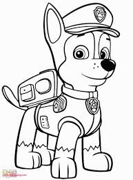 Pin On Paw Coloring Page