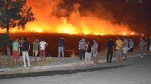 (video i̇zmir) i̇zmaritten çıkan yangın 18. Son Dakika Haberi Izmir Buca Da Orman Yangini Son Dakika Haberleri