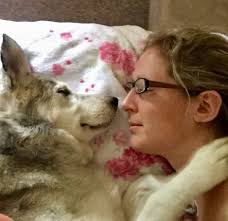 The Perennial in my Garden of Life: An Angel Blooms; Tracy Ahrens Guest