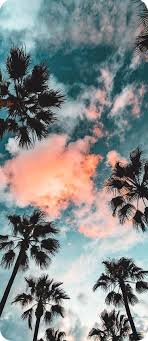 Darleny Polanco (polancodarleny856)