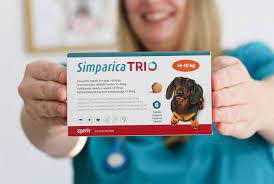 High quality individual vaccines & heart worm testing at a very affordable price. Home Ez Pet Clinic