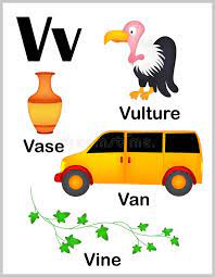 I have a list of 20 words that begin with letter v as well as some show and. Illustration About Cute And Colorful Alphabet Letter V With Set Of Illustrations An Preschool Alphabet Learning Alphabet Worksheets Preschool Alphabet Pictures