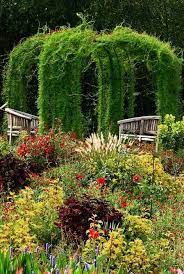 32 ไอเด ย การจ ดสวนด วย พ นธ ไม เล อย สวยๆ คนร กบ าน แบบสวน สวนกลางแจ ง สวนชนบท