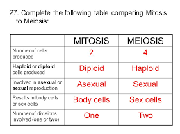 Worksheet Unit 3 Review Ppt Video Online Download