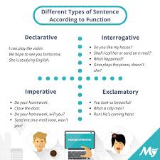 Different Types Of Sentence According To Function Learn English This Or That Questions English Language Learning