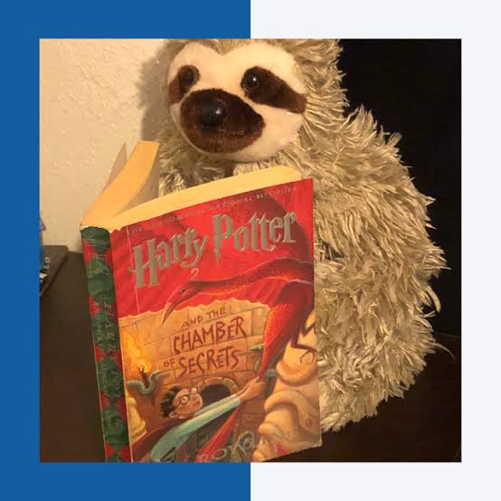 Harry Potter and the Chamber of Secrets - The Reading Wife