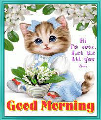 Free Online Greeting Cards Ecards Animated Cards Postcards Funny Cards From 123greetings Com Kitten Cartoon Kitten Images Cute Baby Animals