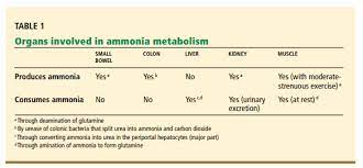 This is why it's critical to monitor your body's levels and especially if you're suffering from liver cirrhosis. What Is The Utility Of Measuring The Serum Ammonia Level In Patients With Altered Mental Status Help From The Cleveland Clinic Tom Wade Md
