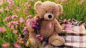 Tara wrist (4.60) brit's friend tara works her hands to the bone. Cute Wallpaper Hd Taddy Bear Novocom Top