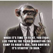 Funny sayings, twisted humor, quirky lines and sarcastic sayings. Sunday Funday Monkey Quotes Swope Quotes Top 1 Quotes About Swope From Famous Authors Dogtrainingobedienceschool Com