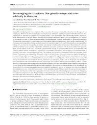 Image result for Plinthus karooicus