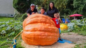 Image result for giant pumpkin
