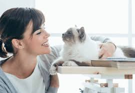 We did not find results for: á… Prettylitter Reviews Is It Safe A Scam Or One Of The Best Kitty Litters Advisoryhq
