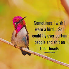 Birds Of The Same Feather Funny Quotes Life Quote Quotes Life Lol Lolreddit Funny Memes Love Birds Quotes Funniest Quotes Ever Love Me Quotes