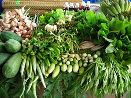 ผลการค้นหารูปภาพสำหรับ ผัก ปลอดสารพิษ