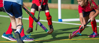 Во многих странах мира хоккей на траве по популярности занимает второе место после футбола среди командных видов спорта, соревнования по которым проводятся на открытом воздухе. Hockey Pitch Sis Pitches