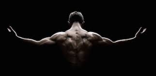 Great prices and discounts on the best pull up bars. Best Pull Up Bars Of 2020 Top Pull Up Bars Compared Top Fitness Magazine