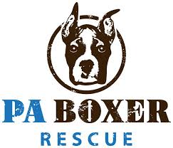 Contact new hampshire boxer breeders near you using our free boxer breeder below is a sample search of our boxer breeders with puppies for sale. Pets For Adoption At Pa Boxers Inc In Lancaster Pa Petfinder