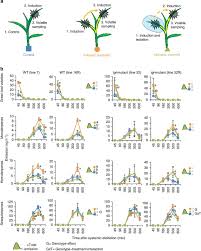 Before you jump ahead and start using this analysis, you should understand what each i've written dozens of pest analyses over the last couple of years. Indole Is An Essential Herbivore Induced Volatile Priming Signal In Maize Nature Communications