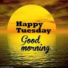 Sharing some crazy and hilarious funny tuesday morning quotes, sayings, images, pictures and mor to tickle your funny bone to start your morning with. Which Are The Best Tuesday Quotes Quora