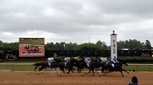 We provide free oaklawn park picks daily that can help put you in the winner's circle. Oaklawn Handicap Entries Free Picks 2021