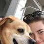 Profile Picture of Amber Falk (amberfalk) - Profile - Pinterest (@pinterest.com) on Google