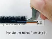 Everything You Need to Know About Easy Fanning Eyelash ...