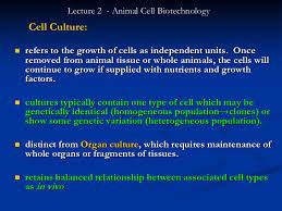 Feel free to use the past paper as you prepare for your upcoming examinations. Lecture 2 Animal Cell Biotechnology