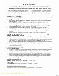 Pin Di Best Resume 2020