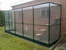 Kat In De Tuin Houden Katten Omheining Buitenlevengevoel Nl Katten Voliere Tuin