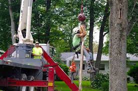 Maple Springs Tree Service Home Facebook
