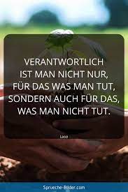 35 Kluge Spruche Und Zitate Zum Nachdenken Zitate Nachdenken Spruche Zitate Kluge Spruche